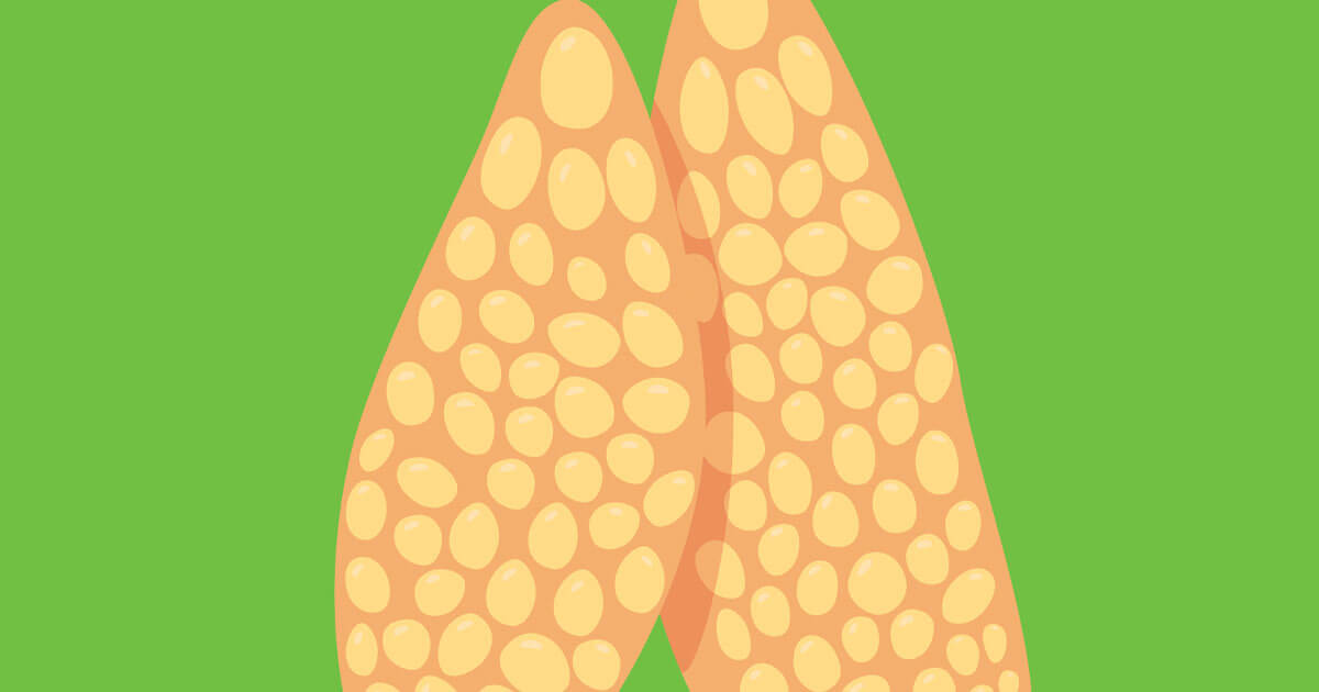 When is a thymectomy appropriate for treating myasthenia gravis?
