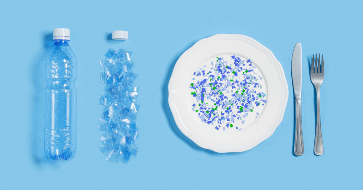 Microplastics in the brain: What evidence shows (and what it doesn’t)