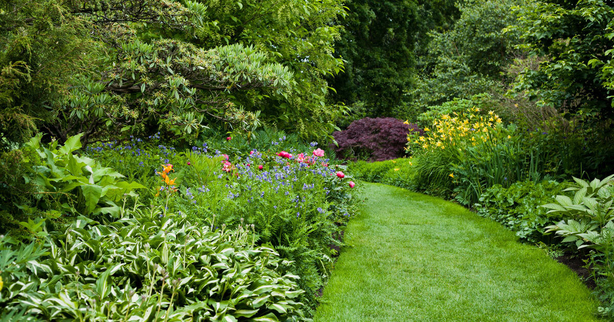 5 lessons nature has taught me about living with dystonia