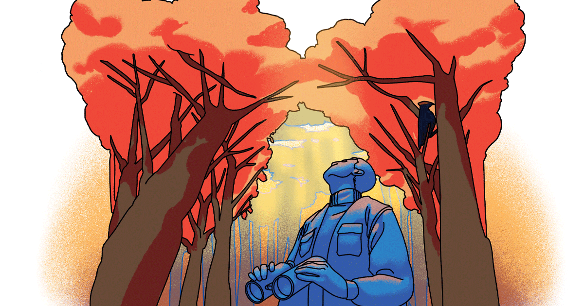 Finding Zen