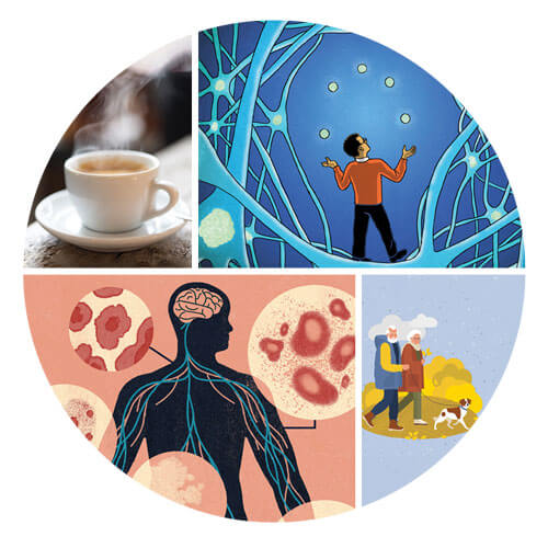 A collage of different brain health illustrations. 