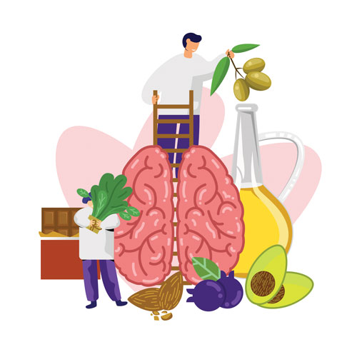 An illustration of a brain surrounded by healthy brain foods